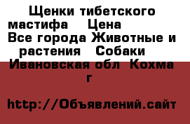Щенки тибетского мастифа. › Цена ­ 30 000 - Все города Животные и растения » Собаки   . Ивановская обл.,Кохма г.